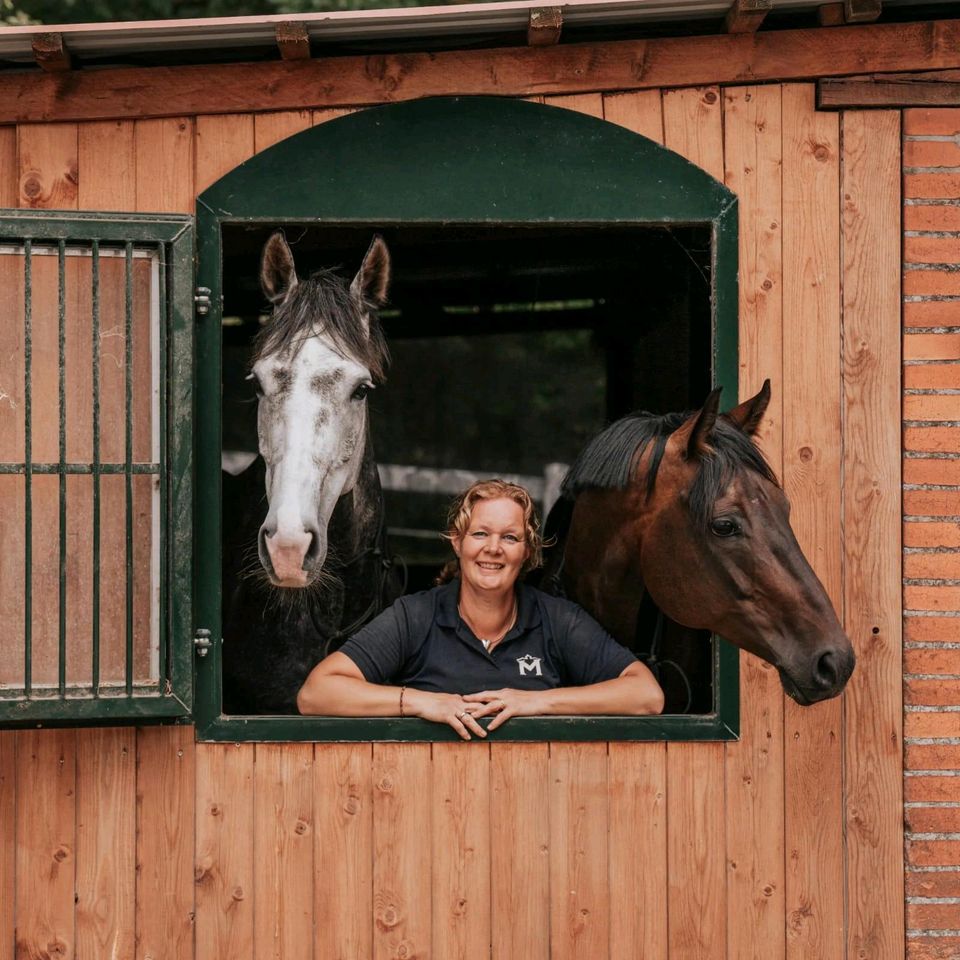 Mind-set Anhänger Training, Verladetraining in Gudow