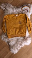 Sweatshirt von Staccato gr 128-134 jungen Nordrhein-Westfalen - Bad Honnef Vorschau