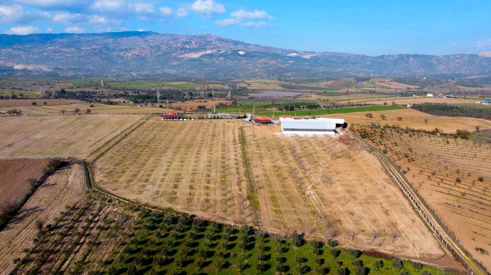 Bauernhof Ihr Träume in Yatagan,  Türkei zu verkaufen in Rodalben