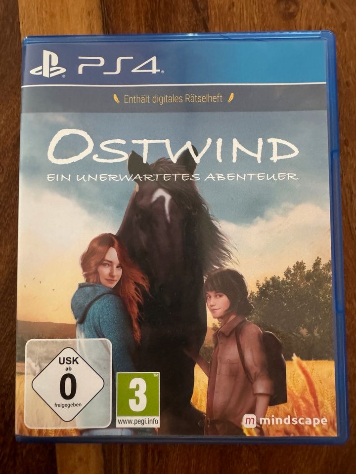 Ostwindspiel für PS 5 und PS4 in Rheinau