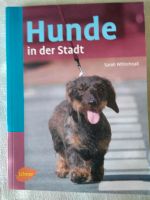 Hunde in der Stadt Rheinland-Pfalz - Wittlich Vorschau