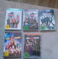 The Big Bang Theory Staffel 2,3,4,5,6 Niedersachsen - Lingen (Ems) Vorschau