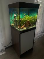 Eheim Würfel Cube Aquarium 115 Liter mit Unterschrank und Zubehör Baden-Württemberg - Balingen Vorschau