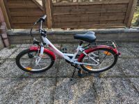 Kinderfahrrad Pegasus Arcona 20 Berlin - Reinickendorf Vorschau