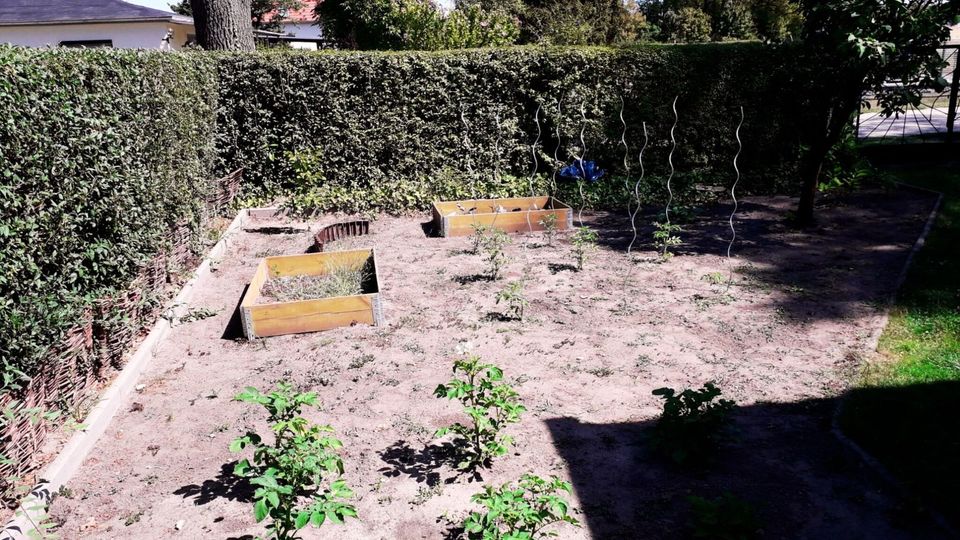⭐ Garten mit Bungalow in Teltow Besichtigung auf Anfrage ⭐ in Teltow