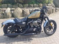 Harley-Dawidson XL 883 Sportster Nordwestmecklenburg - Landkreis - Schönberg (Mecklenburg) Vorschau