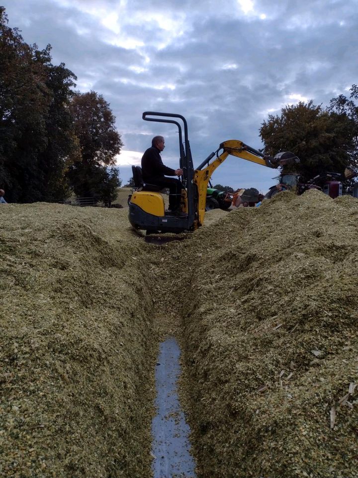 Bagger für schmale Wege in Meudt