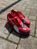 Puma Turnschuhe Herren Größe40,5 Baden-Württemberg - Bühl Vorschau