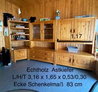 Echtholz Schrank / Vitrine / Wohnwand Hessen - Heusenstamm Vorschau