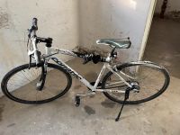 Corratec Shape B-Drive 8 | Fahrrad | Riemen Rheinland-Pfalz - Speyer Vorschau