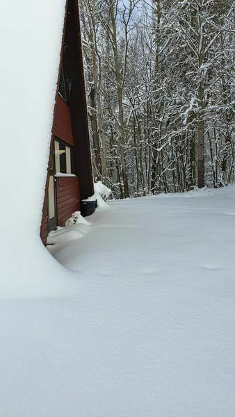 Ferienhaus am Wald Weihnachten 2024 in Ronshausen