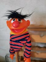 Ernie Handpuppe Niedersachsen - Garbsen Vorschau