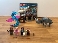 LEGO Harry Potter: 75952 „Newts Koffer der magischen Kreaturen“ Niedersachsen - Cremlingen Vorschau