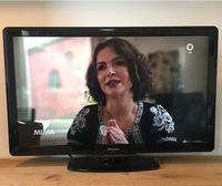 Philips 42 Zoll LCD Fernseher mit Receiver Niedersachsen - Cremlingen Vorschau