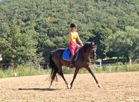 Deutsches Reitpony Stute von Dark Dornik zu verkaufen Hessen - Weimar (Lahn) Vorschau