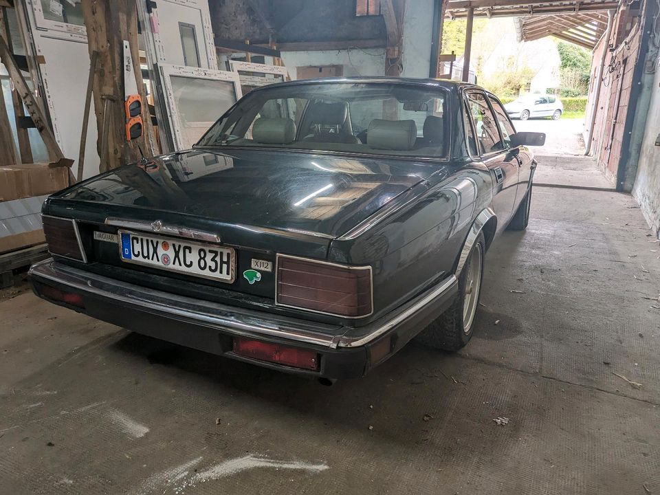 Jaguar XJ40, XJ,81 12v 6.0l in Geestland