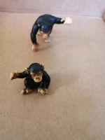 Schimpansen Schleich Niedersachsen - Buchholz in der Nordheide Vorschau