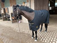 SUCHE Regendecke 130 cm v. Bucas, Felix Bühler, Horseware Amigo Nürnberg (Mittelfr) - Aussenstadt-Sued Vorschau