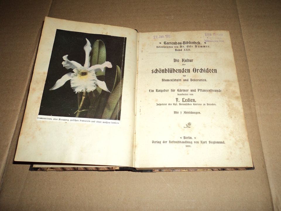 Die Kultur der schönblühenden Orchideen für Blumenschnitt 1900 in Schmalkalden