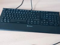 Tastatur von Sharkoon (Sharkoon Skiller Mech SGK1) Mecklenburg-Vorpommern - Neubrandenburg Vorschau