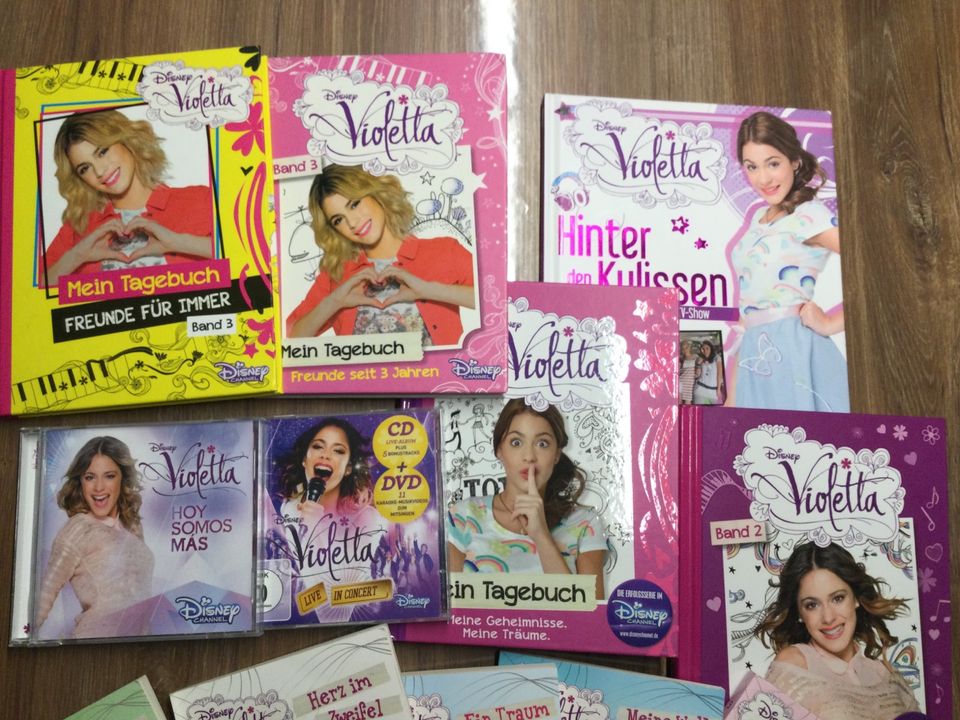 Violetta Disney Bücher Sammlung in Braunschweig