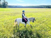 Reitunterricht für Kinder / Ausritte / Führstunde Brandenburg - Rheinsberg Vorschau