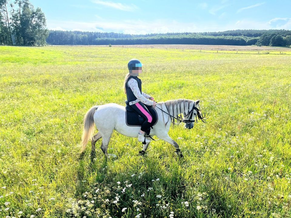 Reitunterricht für Kinder / Ausritte / Führstunde in Rheinsberg