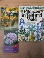 3 Bücher: Pflanzen in Feld und Wald, Weinstock, Heilpflanzen Baden-Württemberg - Holzgerlingen Vorschau