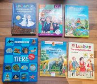 Großes Kinder Buch Paket (6 Kinderbücher ab 7 Jahren) Duisburg - Rheinhausen Vorschau