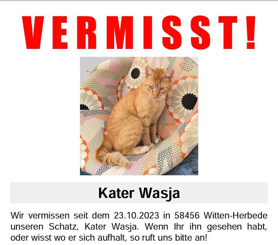 Kater vermisst in Witten