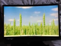 Samsung Monitor 24“ C24F396FHU Mecklenburg-Vorpommern - Stralsund Vorschau