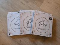3x LED Ring Lichtobjekt neu Gold Timer indoor Weihnachten Deko Bayern - Gräfendorf Vorschau