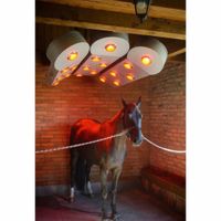 BM Horse Solar Tech Pferdesolarium Solarium Pferde NEU 3 Panels Sachsen-Anhalt - Osterweddingen Vorschau