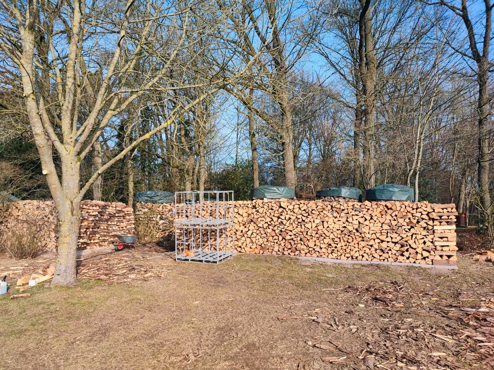 Scheitholzheizungen Holzheizung Kiefernholz Brennholz in Rosengarten