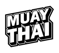 Muay Thai Trainer, Taiboxen Trainer in Cottbus Brandenburg - Cottbus Vorschau