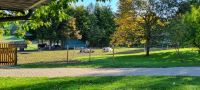 Einstellplatz Offenstallplatz Pferd Rheinland-Pfalz - Kommen Vorschau