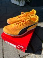 Puma evoSpeed Junior Gr. 37 Mecklenburg-Strelitz - Landkreis - Burg Stargard Vorschau