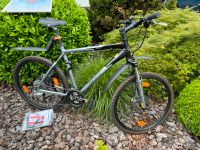 Mountain Bike 26“ Giant Sehr guter Zustand Niedersachsen - Herzberg am Harz Vorschau