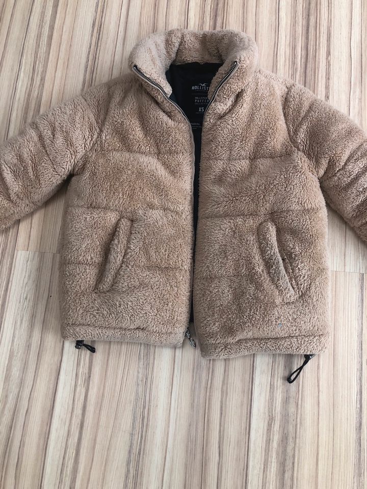 Teddy hotsell jacke hollister