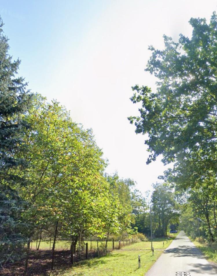 Freizeitgrundstück Wochenendgrundsück im Lausitzer Seenland in Lauchhammer