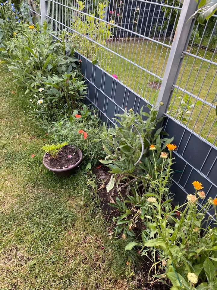 Zaun Sichtschutz Streifen in Neuss