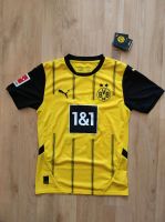 Original Borussia Dortmund Heim Trikot 24/25 (Nr.  Reus 11 ) BVB Nordrhein-Westfalen - Hilden Vorschau