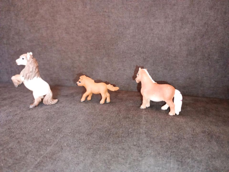 Schleich - Horse Club 41432 - Mini Shetty Familie in Dittelsheim-Heßloch