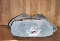 Wintermütze NVA DDR MdI Mütze Militaria Sachsen-Anhalt - Wolmirstedt Vorschau