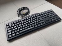 Curry MX-BOARD 3.0 mit black Switches Düsseldorf - Heerdt Vorschau