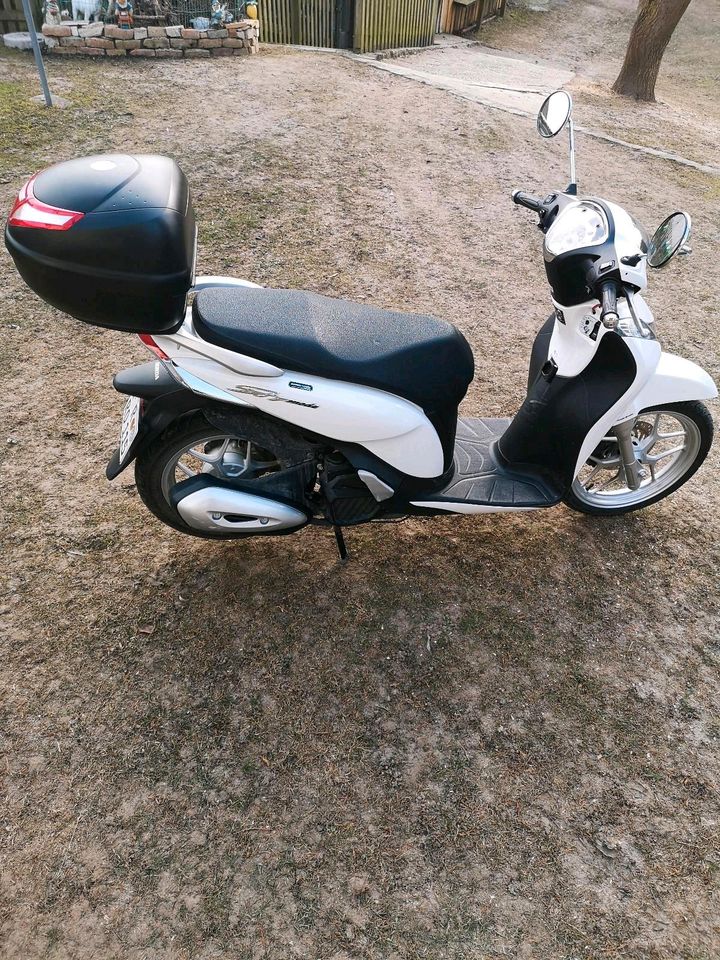 Honda 125 Roller in Regensburg