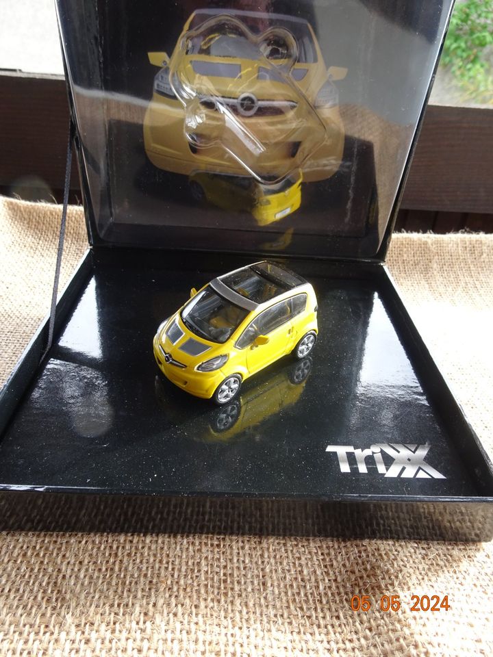 Opel Trixx Studie in Groß-Gerau