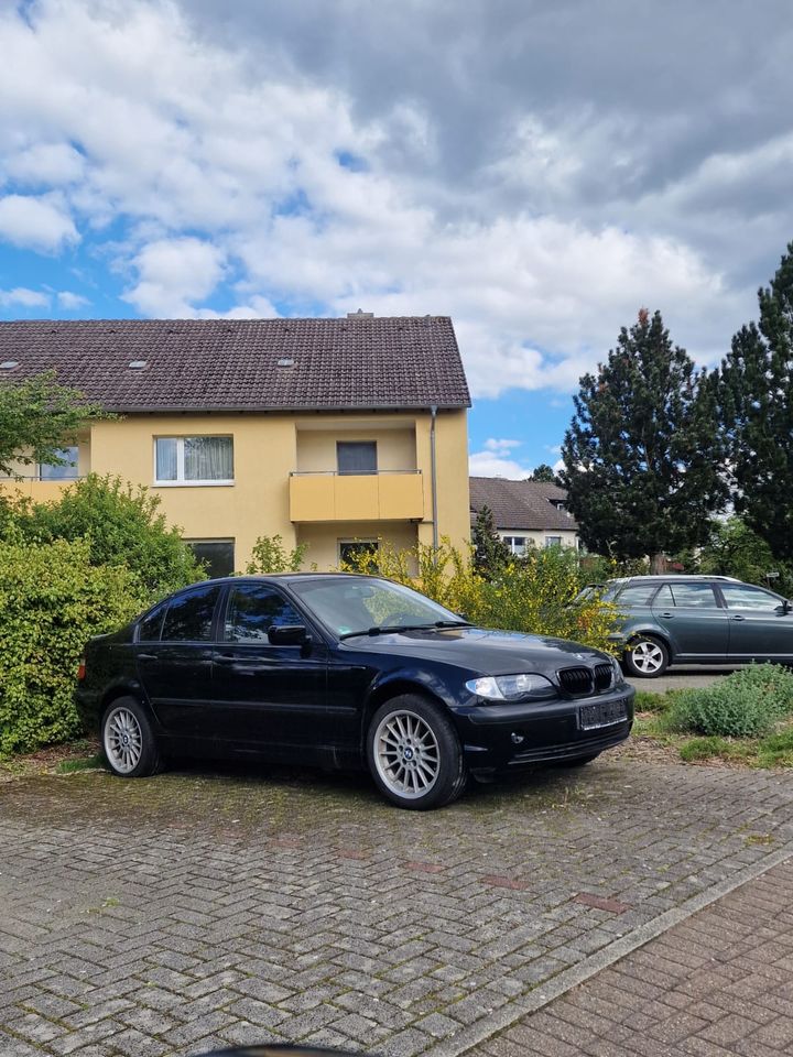 BMW E46 316i in Gifhorn