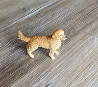 Golden Retriever Hund | Schleich Niedersachsen - Rühen Vorschau