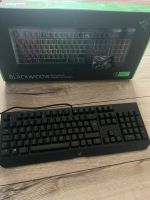 Razer Blackwidow (2019) Gaming Tastatur Rheinland-Pfalz - Speyer Vorschau